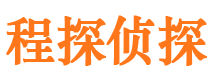 锦江市调查公司